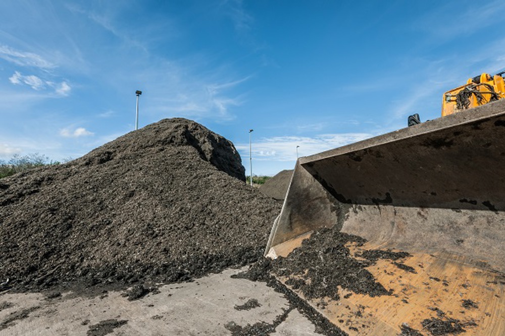Compost Pile